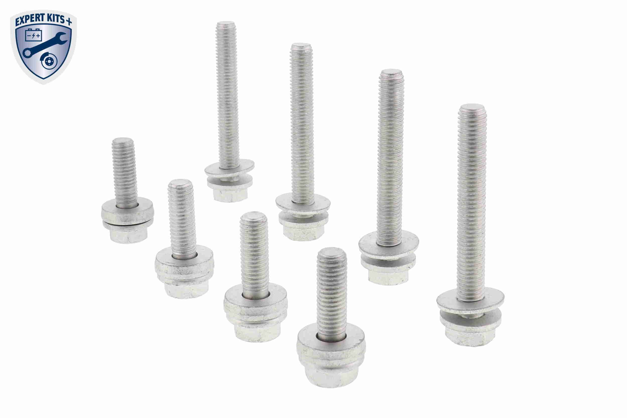 Rato guolio komplektas VAICO V20-0676