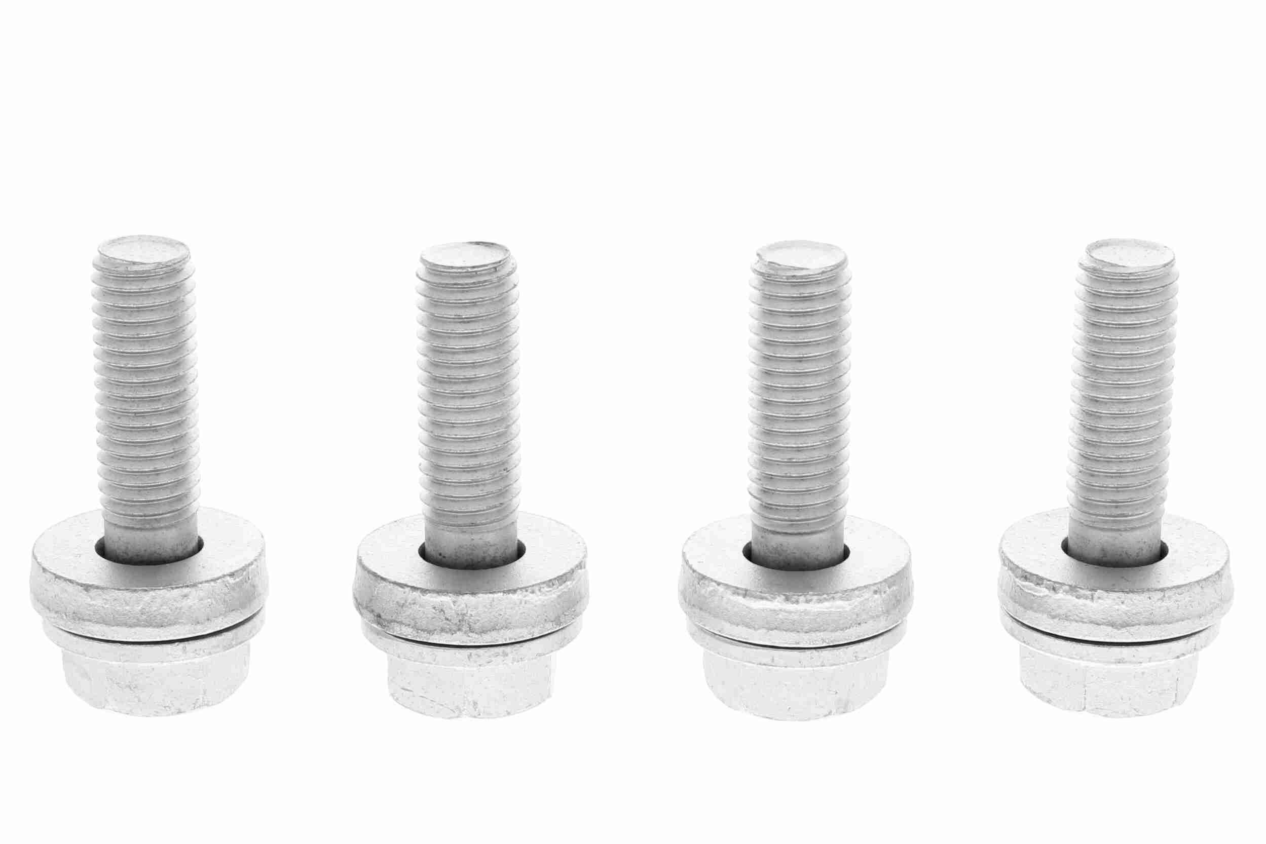 Rato guolio komplektas VAICO V20-3021