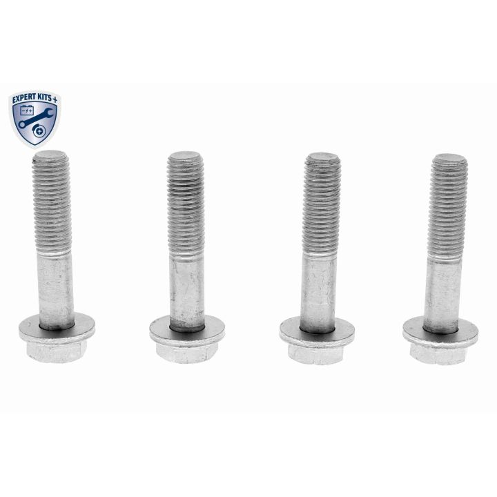 Rato guolio komplektas VAICO V20-3286