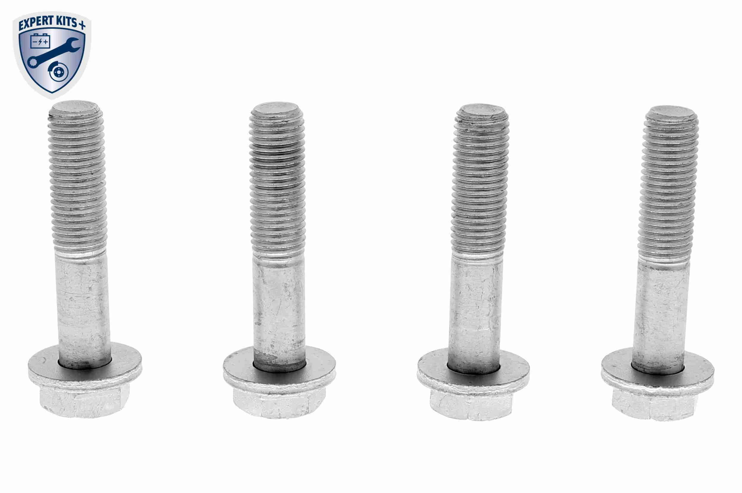 Rato guolio komplektas VAICO V20-3286