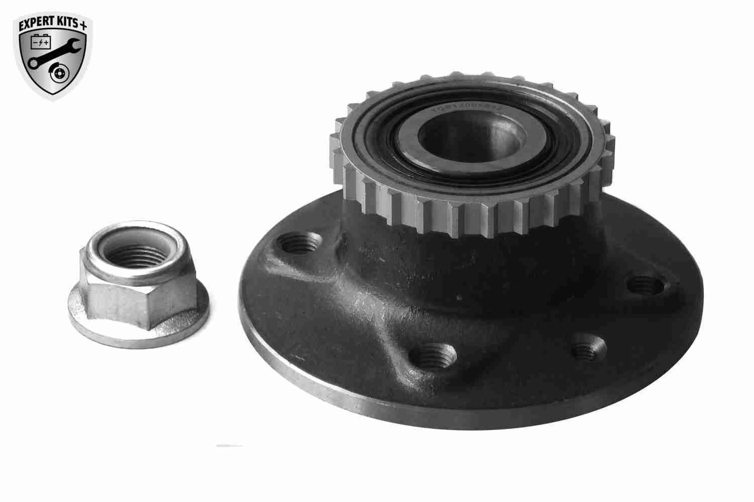 Rato guolio komplektas VAICO V46-0445