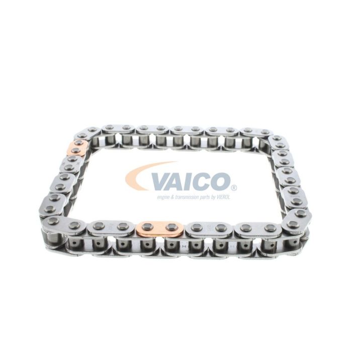 Pavaros grandinė VAICO V25-1777