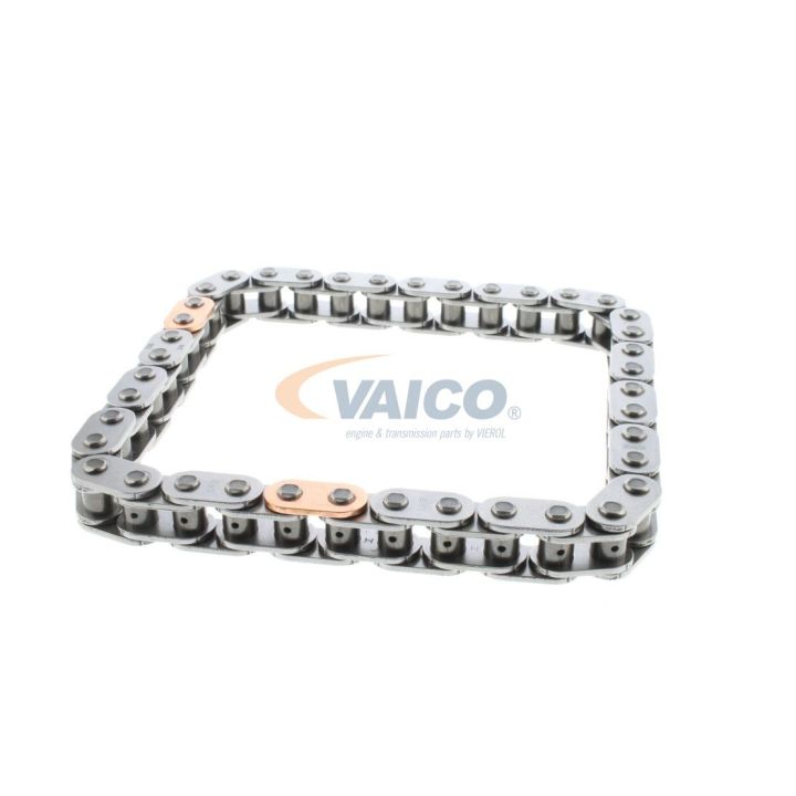 Pavaros grandinė VAICO V25-1777