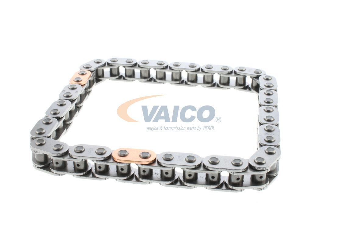 Pavaros grandinė VAICO V25-1777