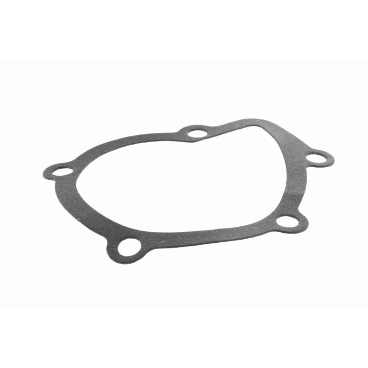 Vandens siurblys, variklio aušinimas VAICO V22-50004