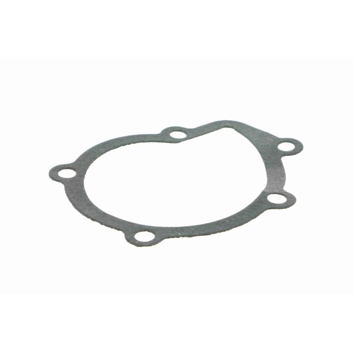 Vandens siurblys, variklio aušinimas VAICO V22-50005