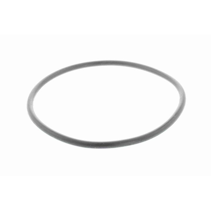 Vandens siurblys, variklio aušinimas VAICO V22-50007