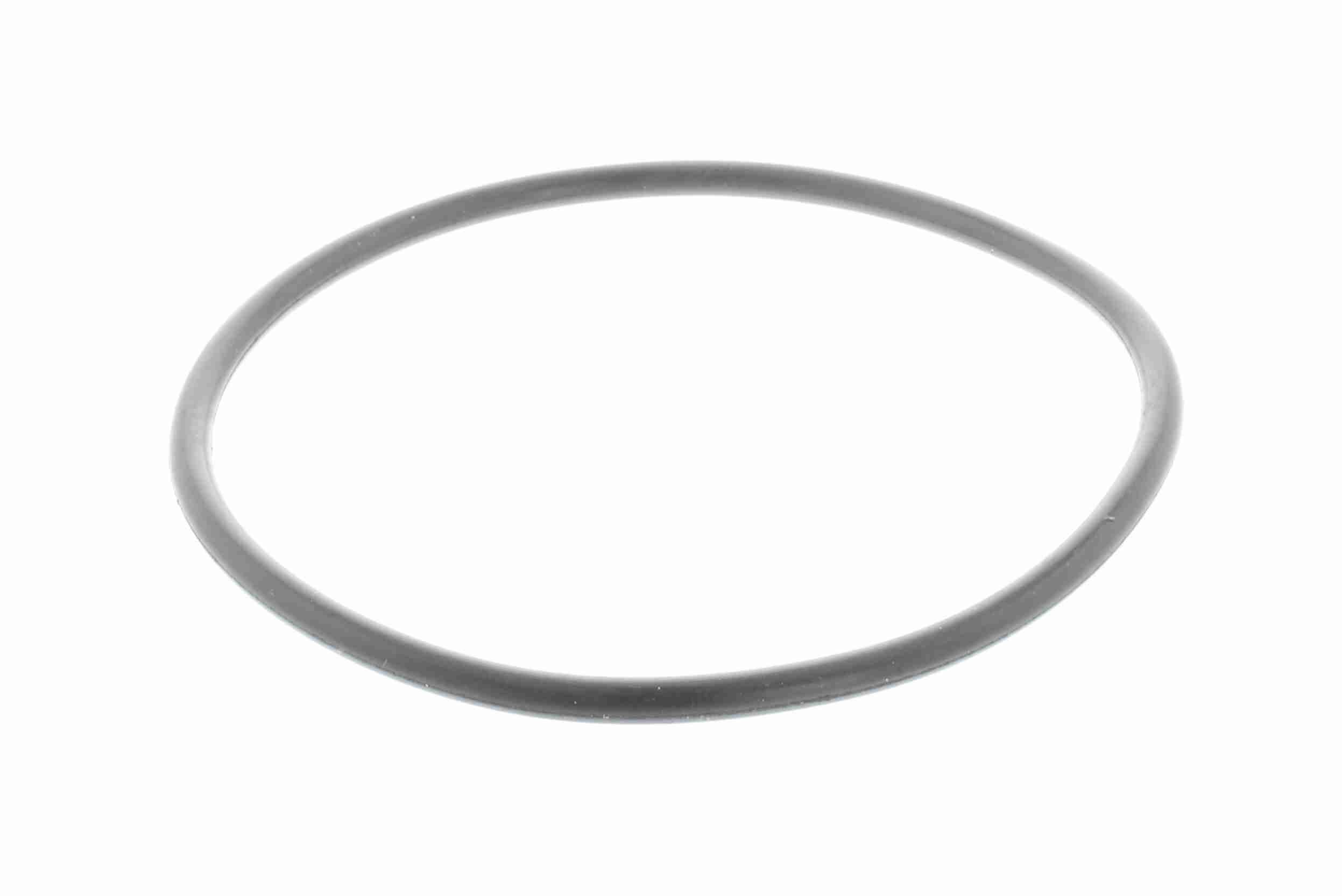 Vandens siurblys, variklio aušinimas VAICO V22-50007