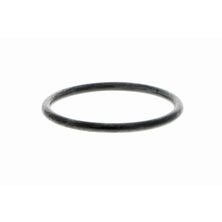 Vandens siurblys, variklio aušinimas VAICO V22-50012