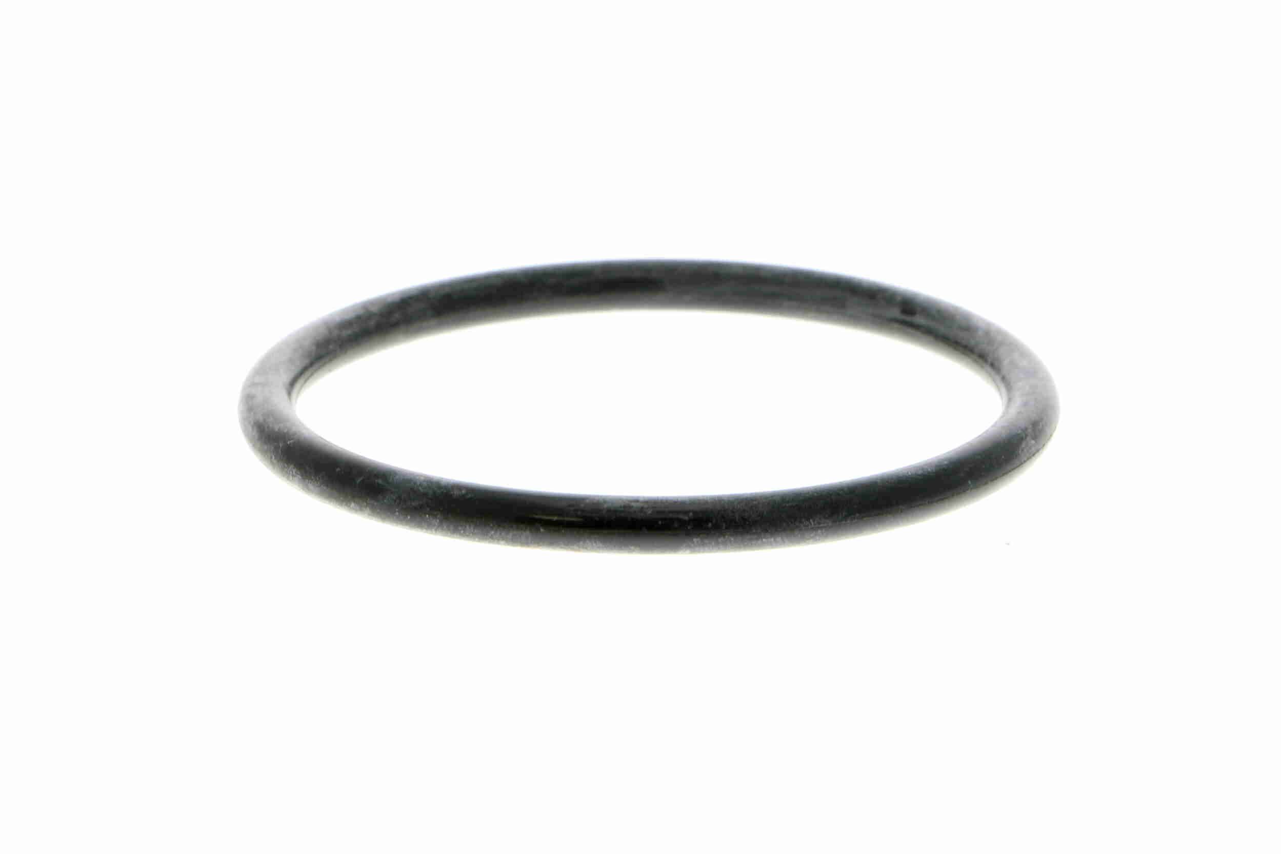 Vandens siurblys, variklio aušinimas VAICO V22-50012