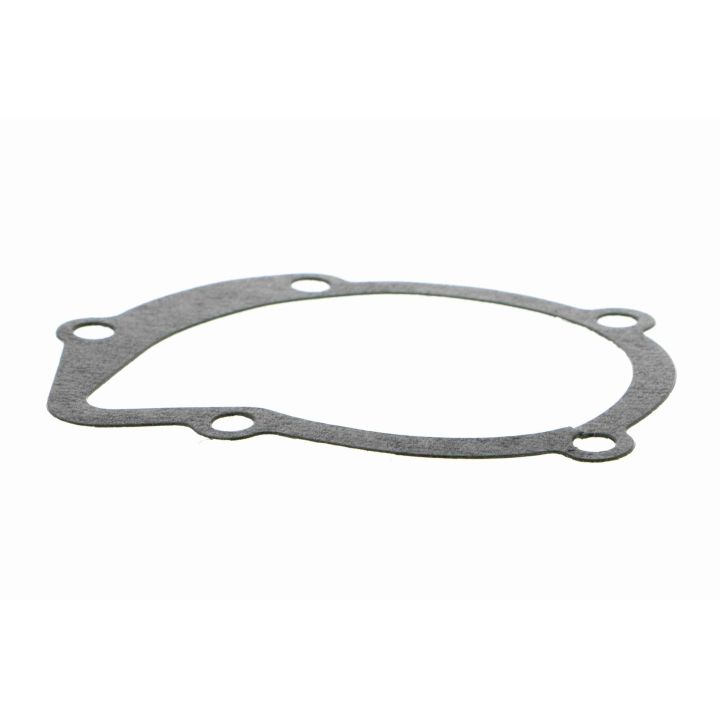 Vandens siurblys, variklio aušinimas VAICO V22-50014