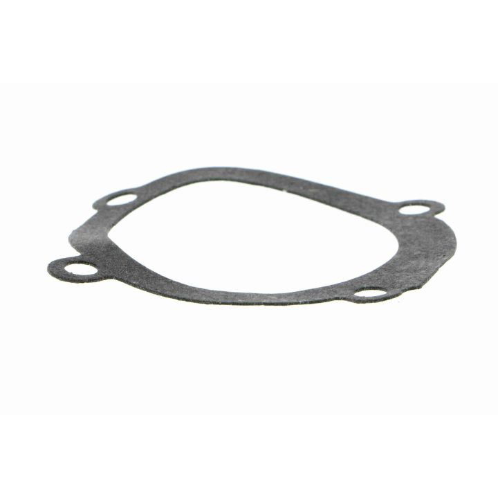 Vandens siurblys, variklio aušinimas VAICO V24-50002