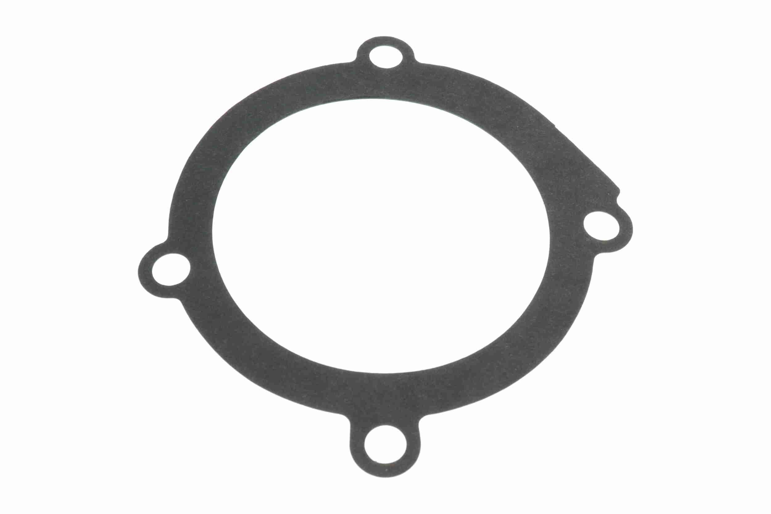 Vandens siurblys, variklio aušinimas VAICO V24-50003