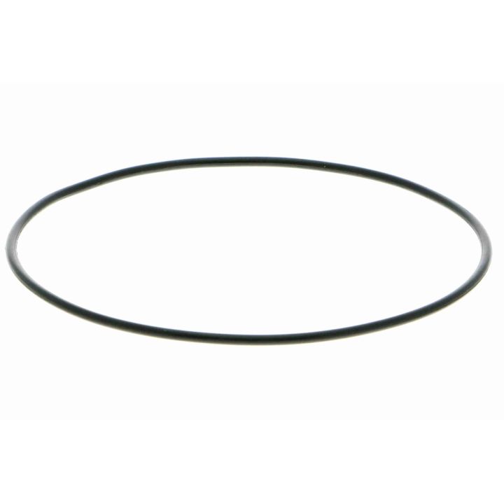 Vandens siurblys, variklio aušinimas VAICO V24-50010