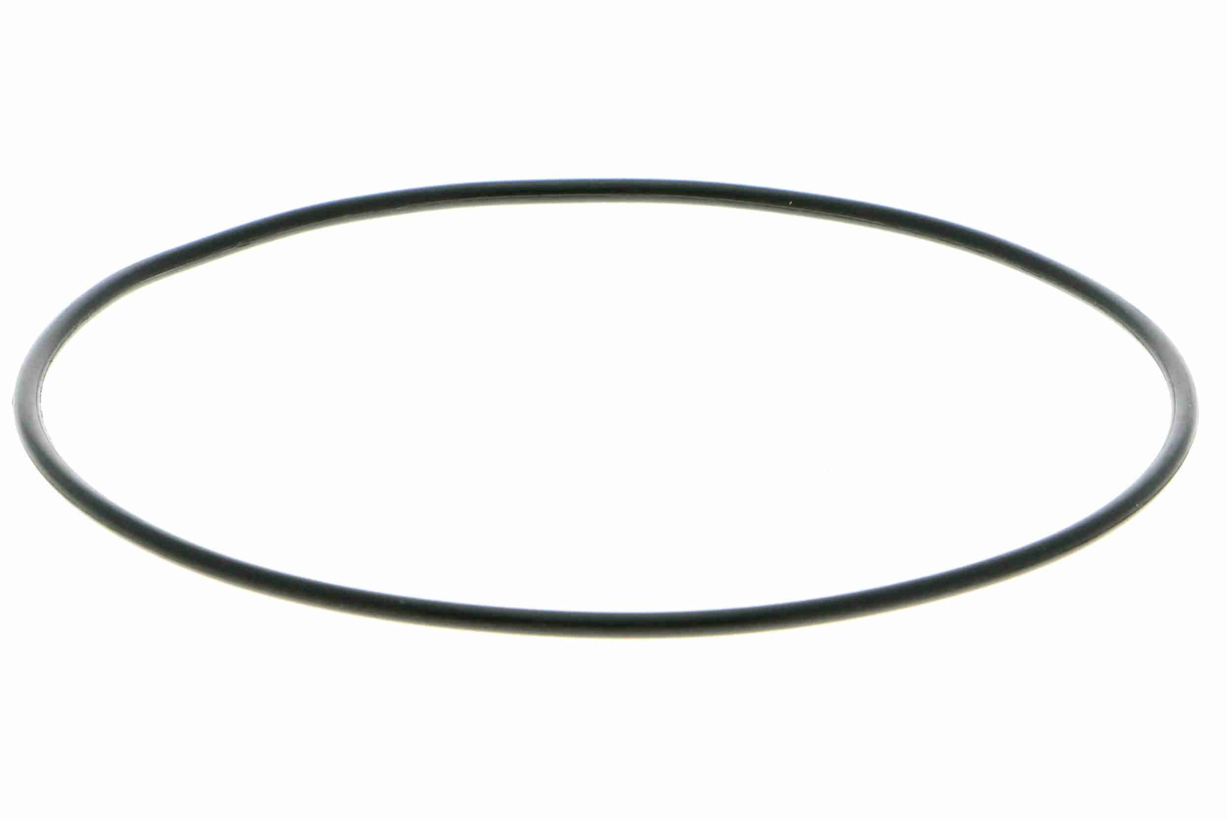 Vandens siurblys, variklio aušinimas VAICO V24-50010