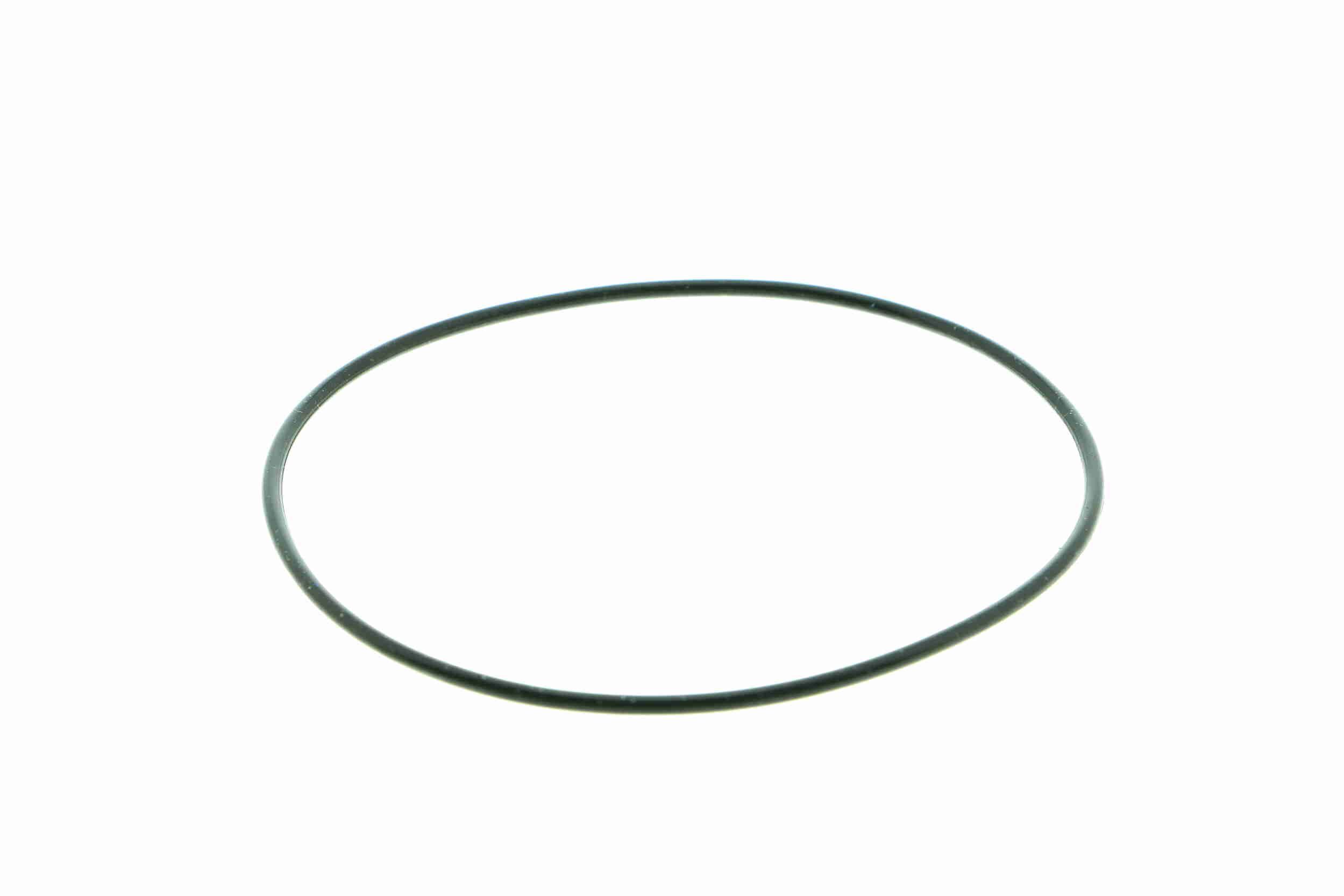 Vandens siurblys, variklio aušinimas VAICO V24-50017