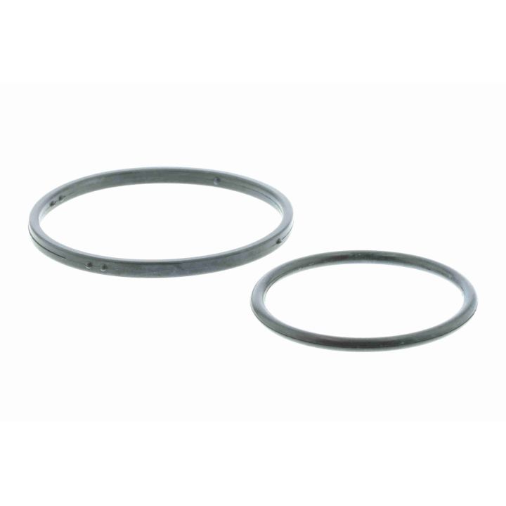 Vandens siurblys, variklio aušinimas VAICO V24-50018