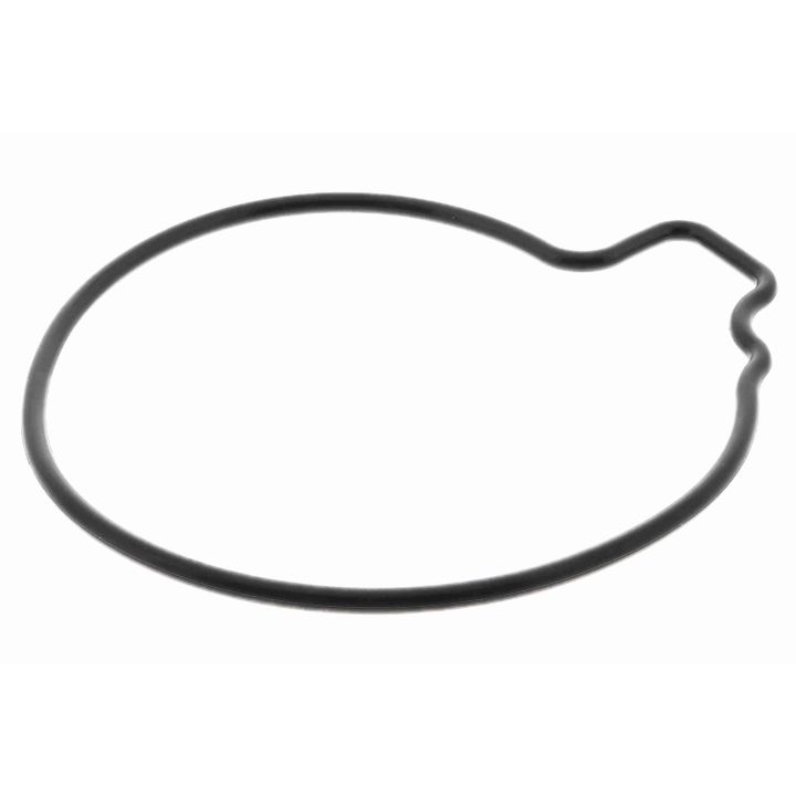 Vandens siurblys, variklio aušinimas VAICO V24-50021