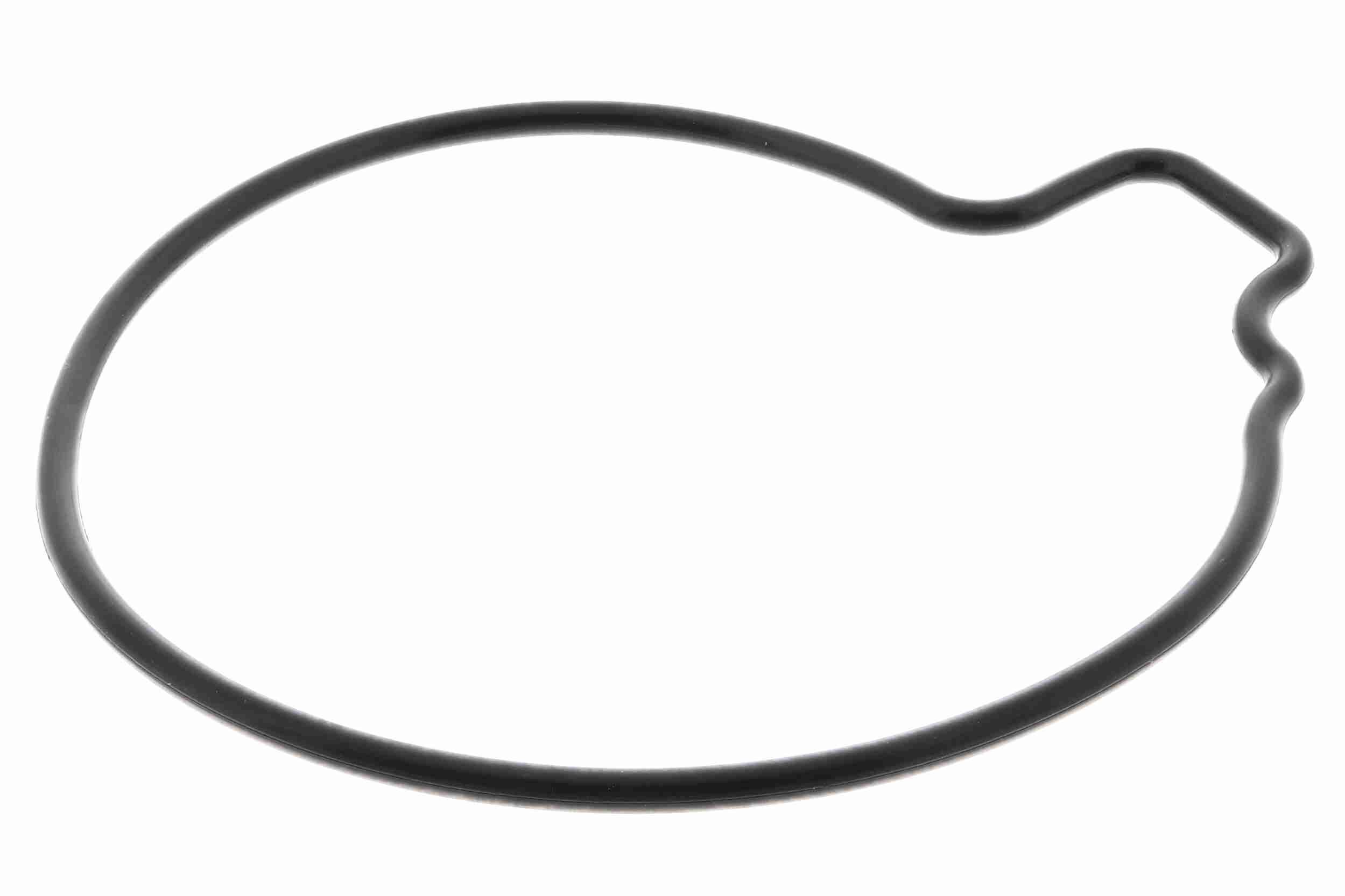 Vandens siurblys, variklio aušinimas VAICO V24-50021