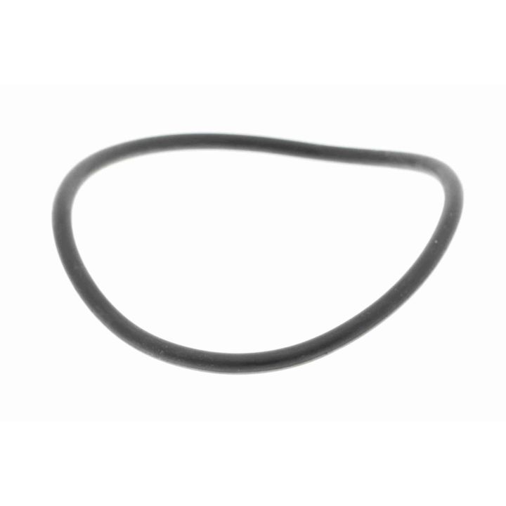 Vandens siurblys, variklio aušinimas VAICO V25-50013