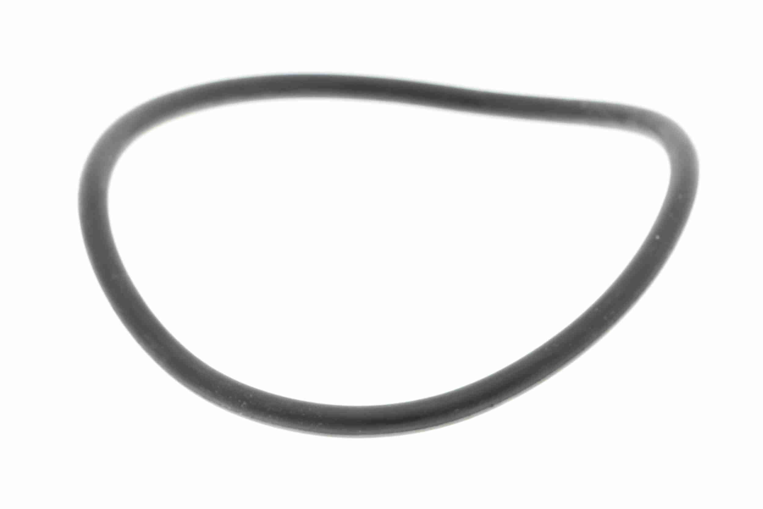 Vandens siurblys, variklio aušinimas VAICO V25-50013