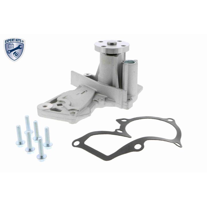 Papildomas vandens siurblys, papildomasis šildytuvas VAICO V25-50019