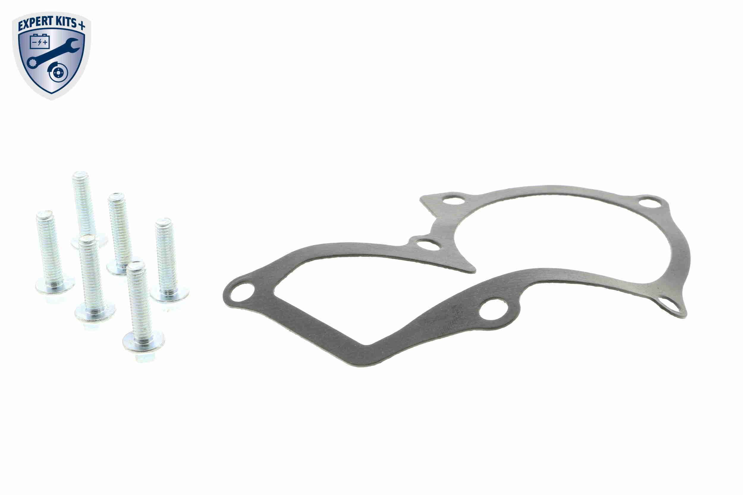 Papildomas vandens siurblys, papildomasis šildytuvas VAICO V25-50019