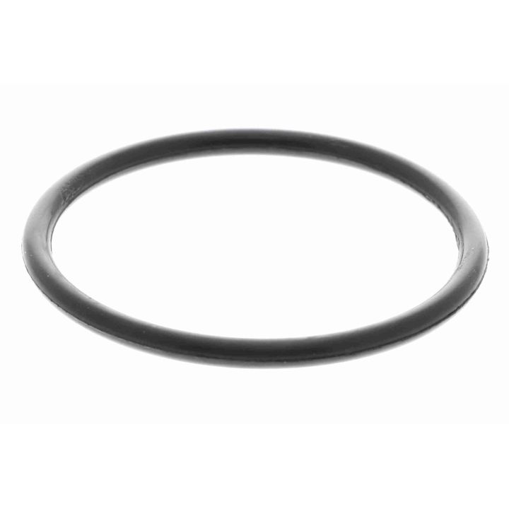 Vandens siurblys, variklio aušinimas VAICO V30-50025