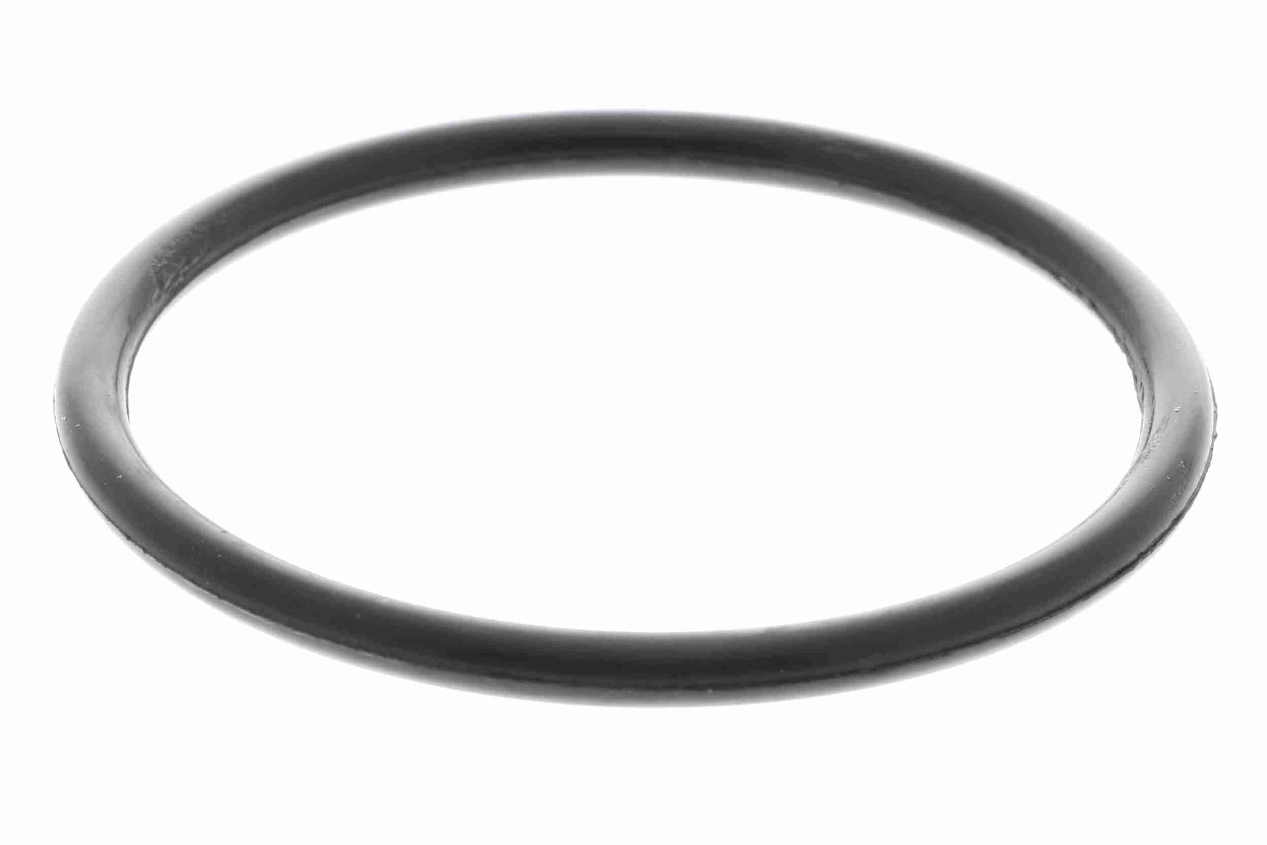 Vandens siurblys, variklio aušinimas VAICO V30-50025