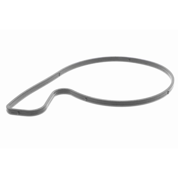 Vandens siurblys, variklio aušinimas VAICO V30-50055