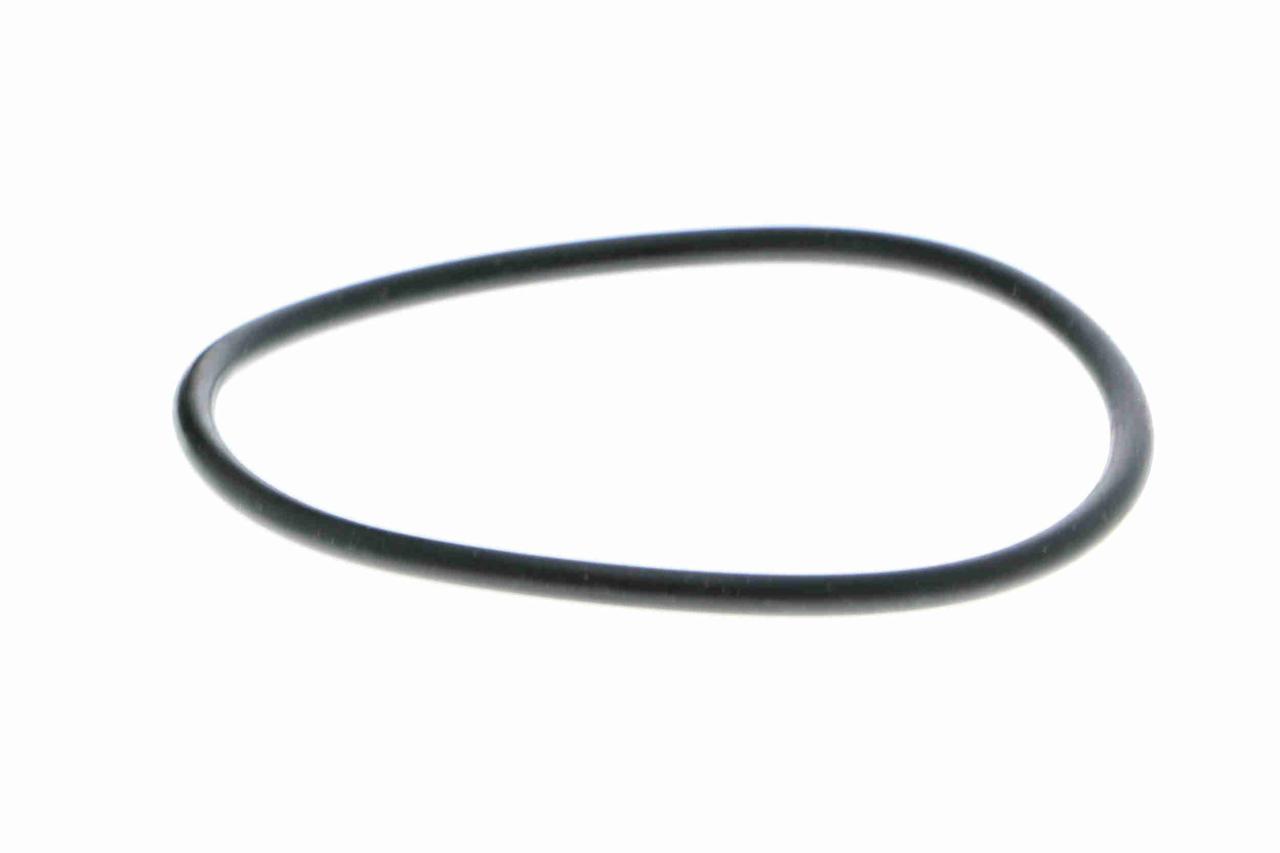 Vandens siurblys, variklio aušinimas VAICO V30-50064