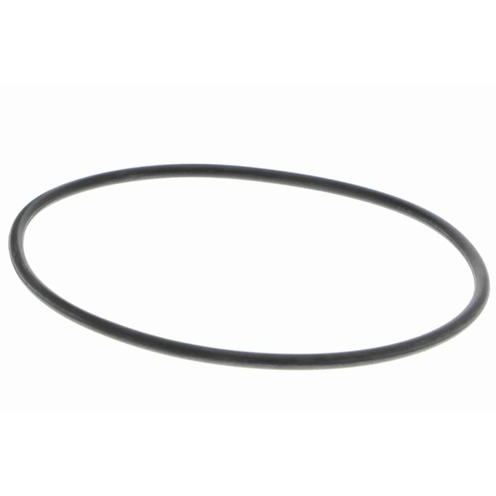 Vandens siurblys, variklio aušinimas VAICO V40-50017