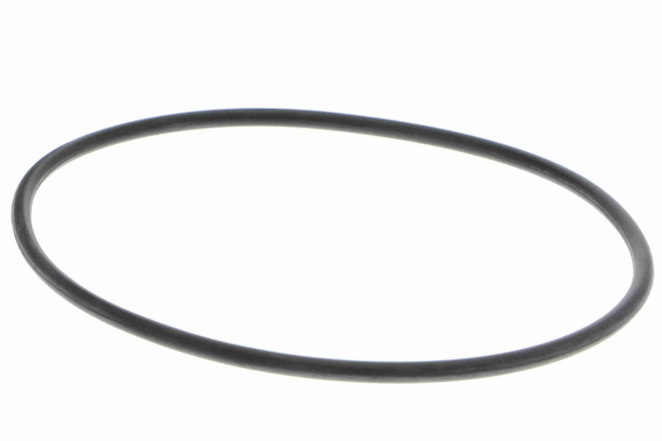 Vandens siurblys, variklio aušinimas VAICO V40-50017