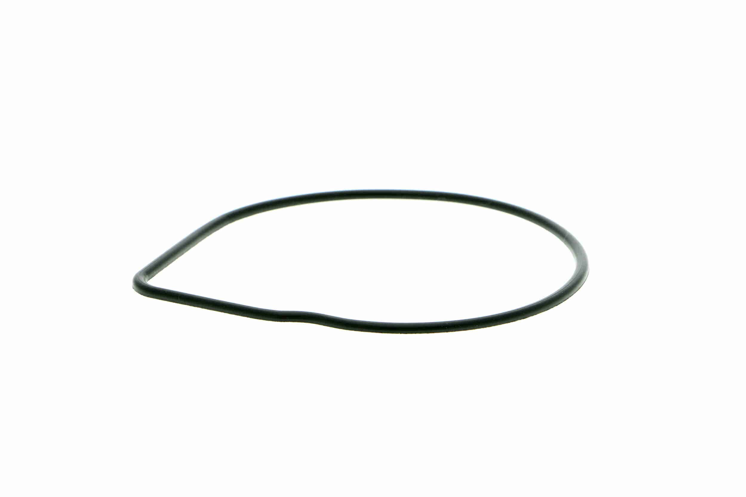 Vandens siurblys, variklio aušinimas VAICO V40-50038