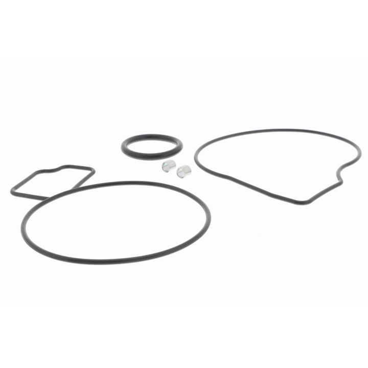 Vandens siurblys, variklio aušinimas VAICO V40-50043