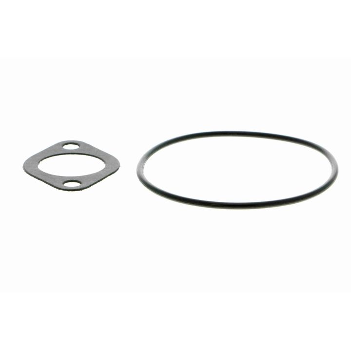 Vandens siurblys, variklio aušinimas VAICO V40-50052