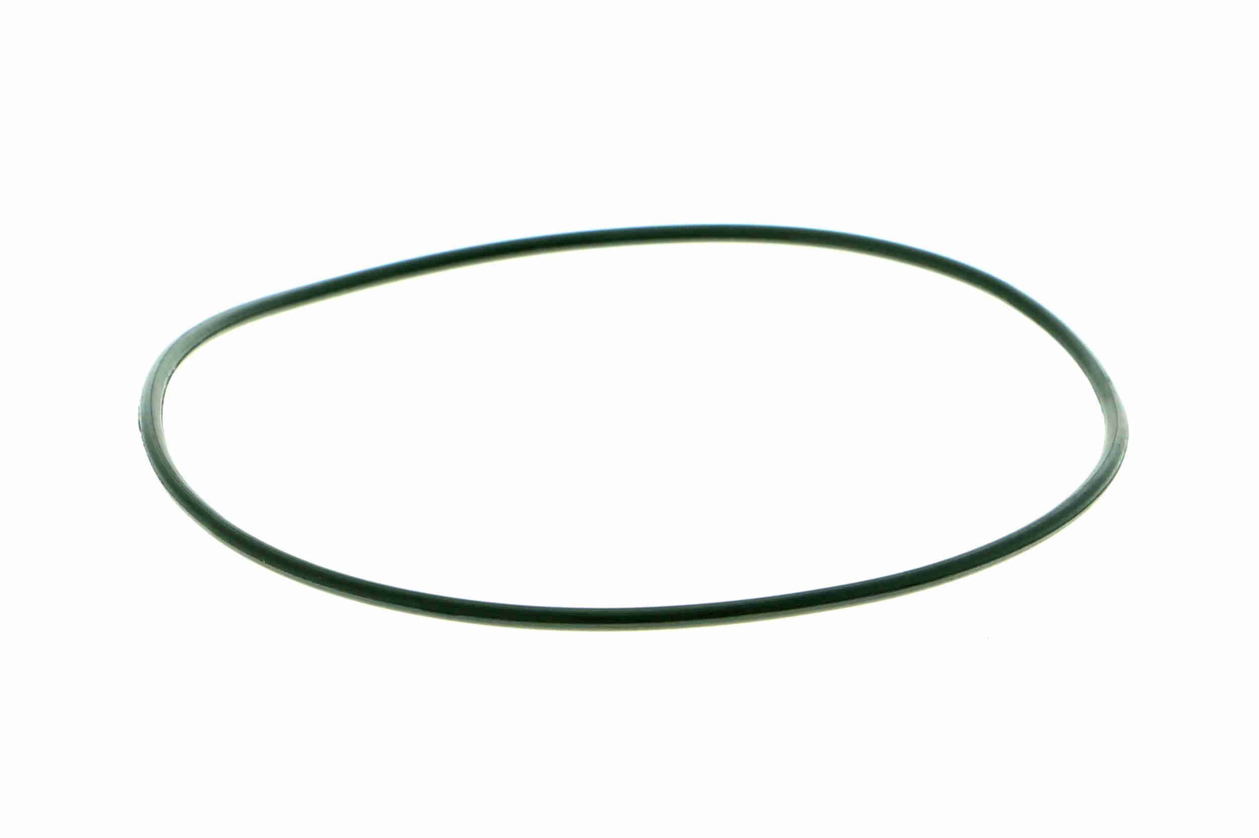 Vandens siurblys, variklio aušinimas VAICO V40-50054