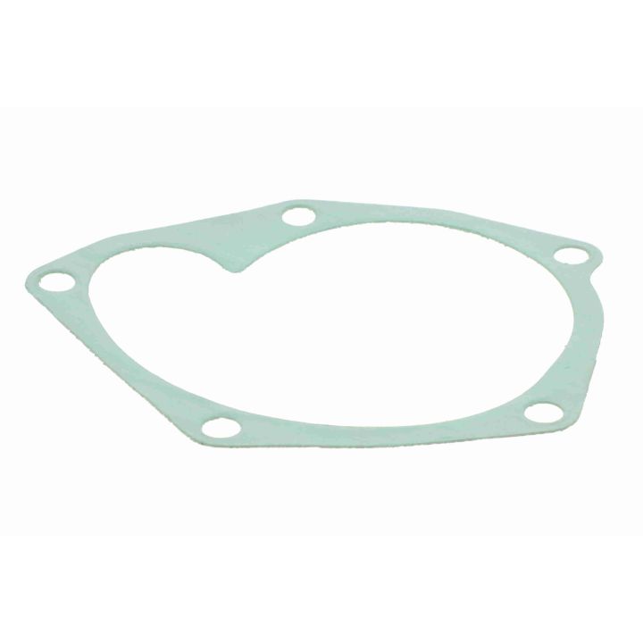 Vandens siurblys, variklio aušinimas VAICO V40-50059