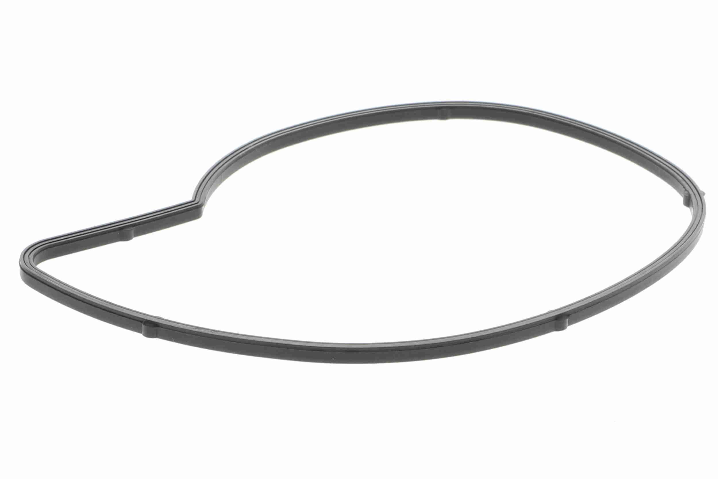 Vandens siurblys, variklio aušinimas VAICO V42-50000