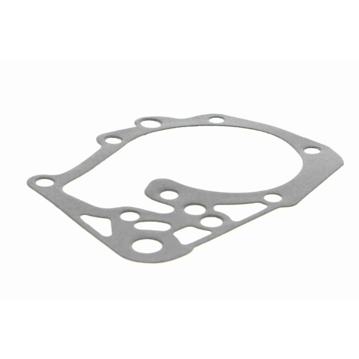 Vandens siurblys, variklio aušinimas VAICO V46-50002