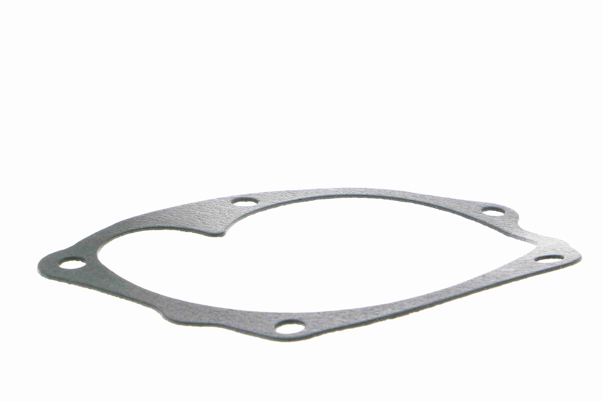 Vandens siurblys, variklio aušinimas VAICO V46-50007