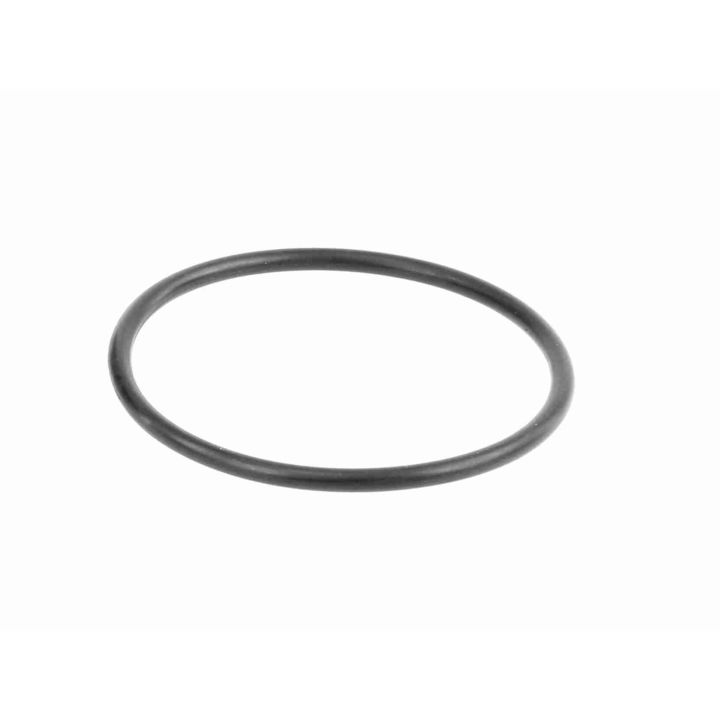 Vandens siurblys, variklio aušinimas VAICO V46-50010