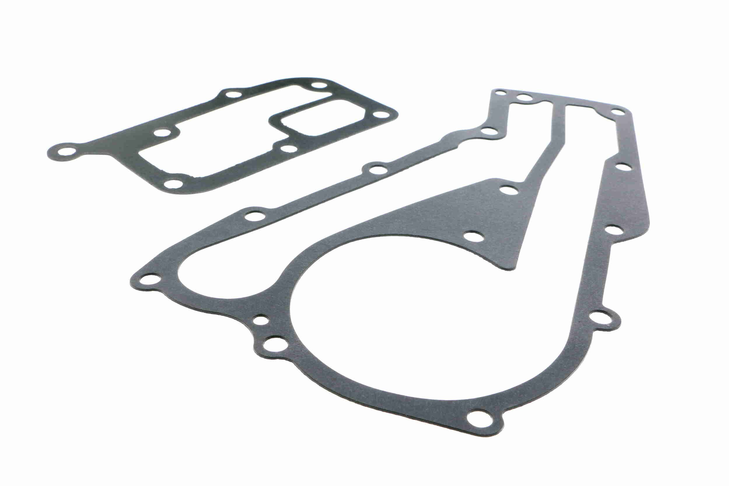 Vandens siurblys, variklio aušinimas VAICO V46-50014