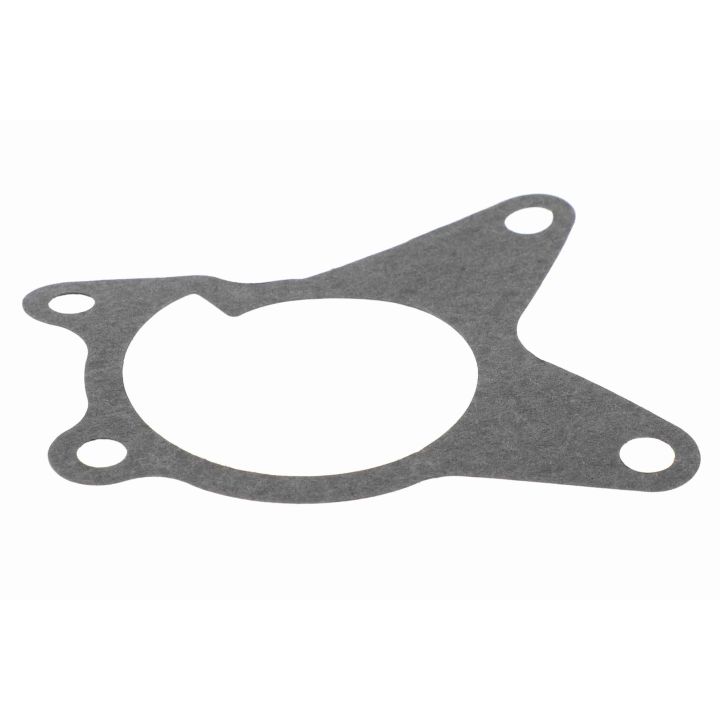 Vandens siurblys, variklio aušinimas VAICO V46-50022