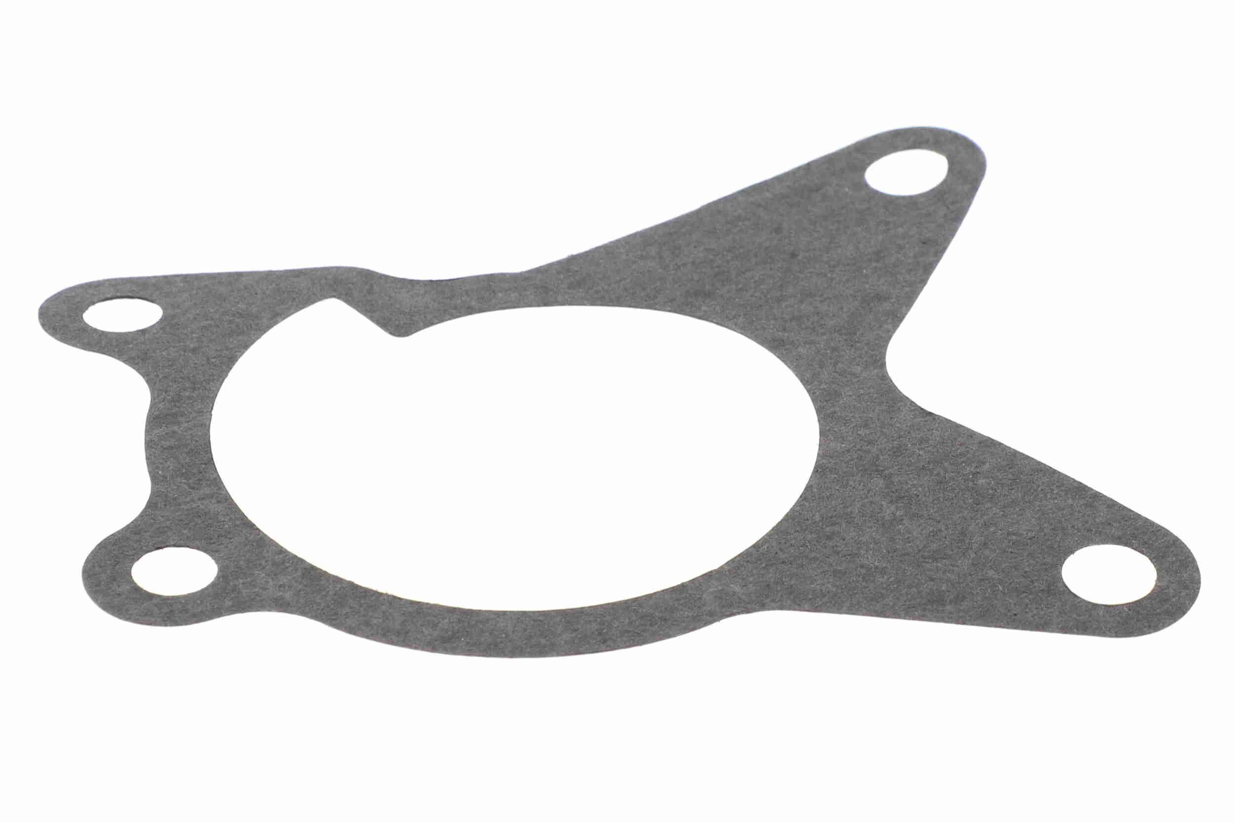 Vandens siurblys, variklio aušinimas VAICO V46-50022