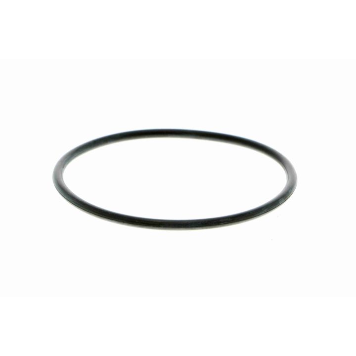 Vandens siurblys, variklio aušinimas VAICO V48-50003