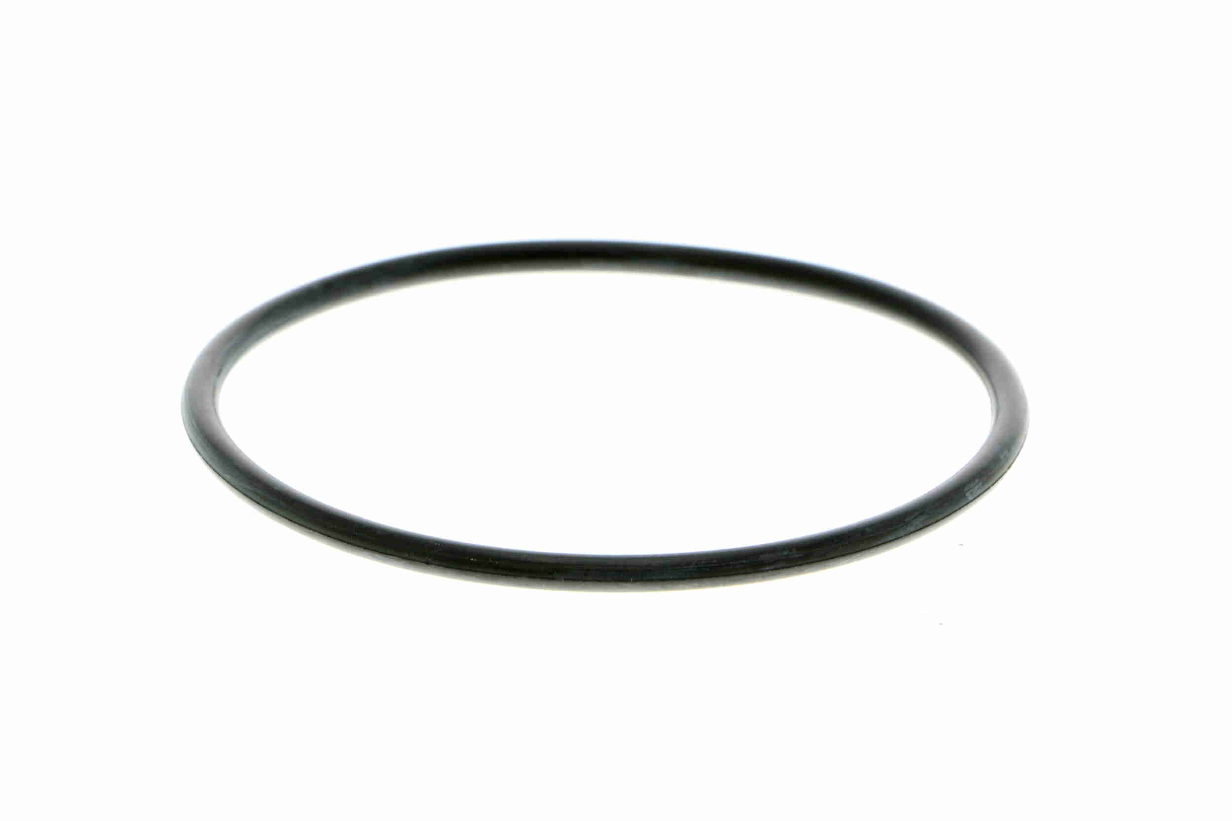 Vandens siurblys, variklio aušinimas VAICO V48-50003