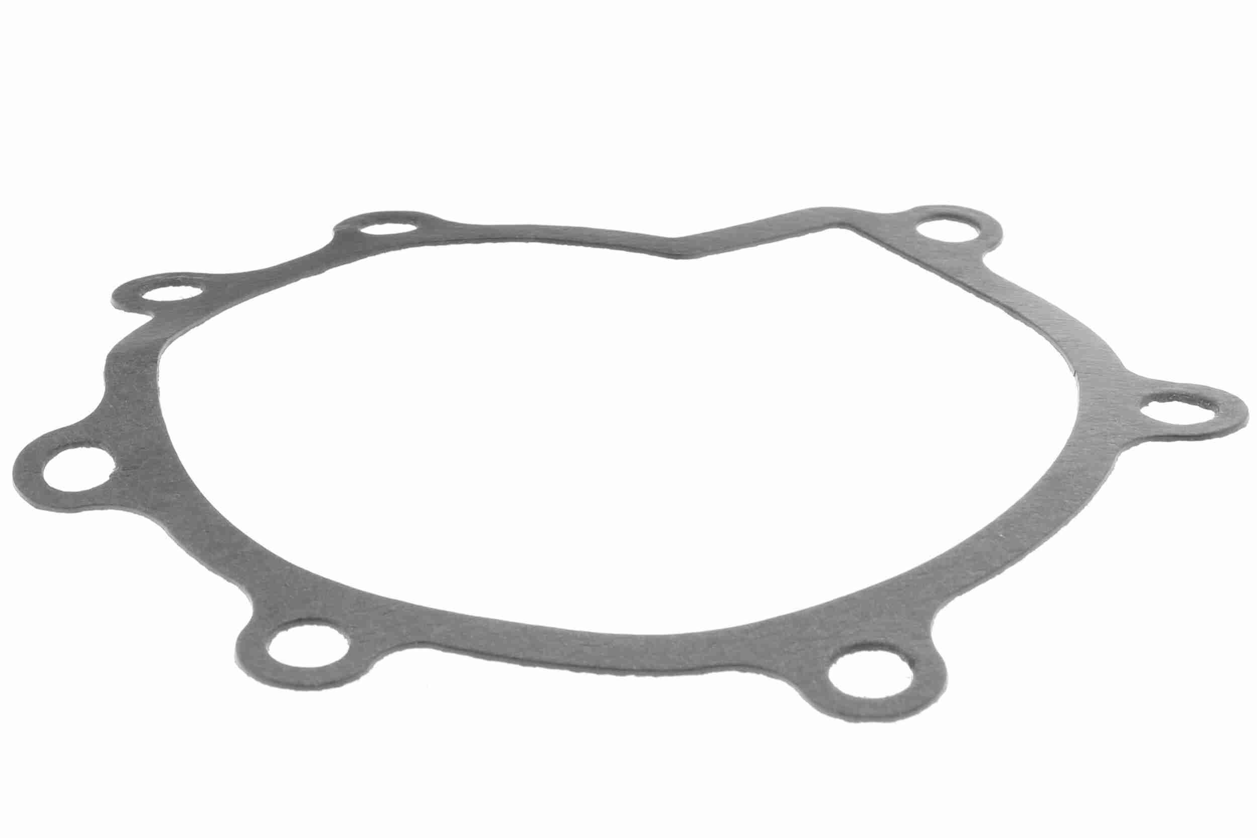 Vandens siurblys, variklio aušinimas VAICO V51-50000