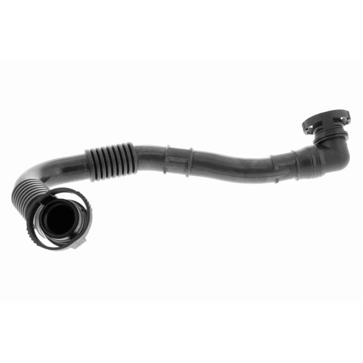 žarna, karterio alsuoklis VAICO V10-5468