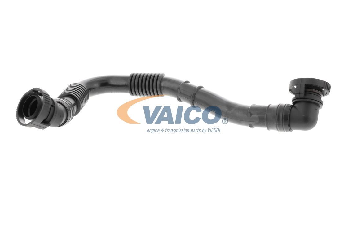 žarna, karterio alsuoklis VAICO V10-5468